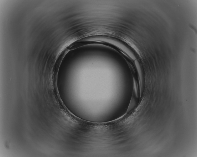 X0000091881026200709121409