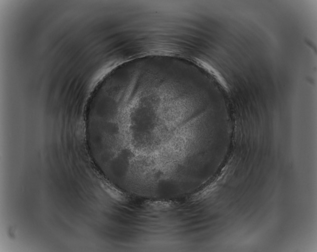 X0000091881027200709121409
