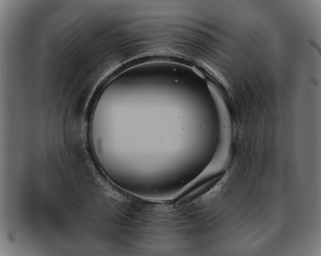 X0000091881029200709121409