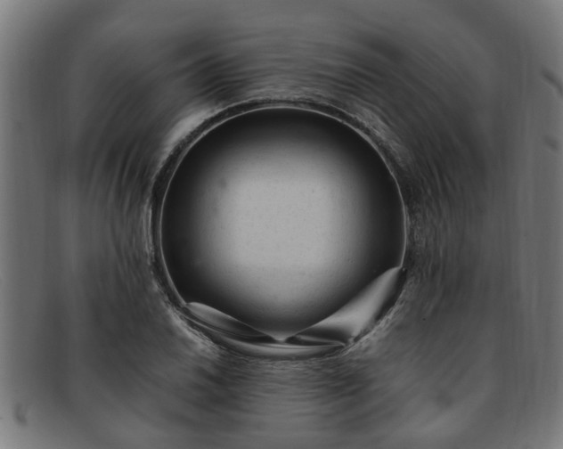 X0000091881030200709121409