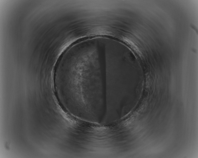 X0000091881031200709121409