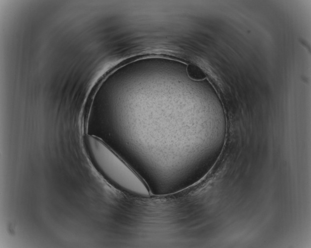 X0000091881032200709121409