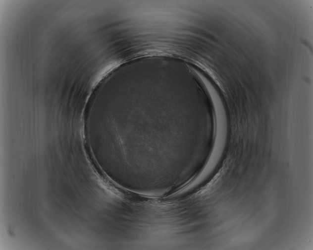 X0000091881034200709121409