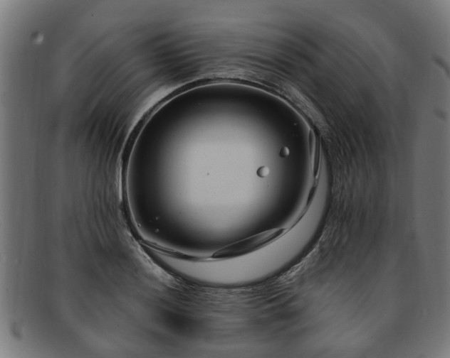 X0000091881036200709121409