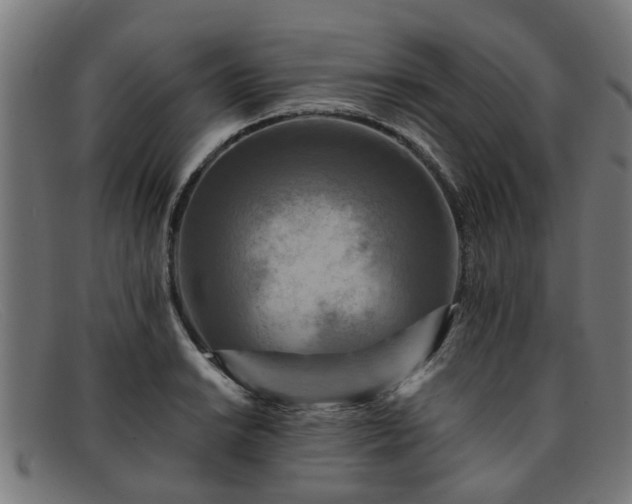 X0000091881038200709121409