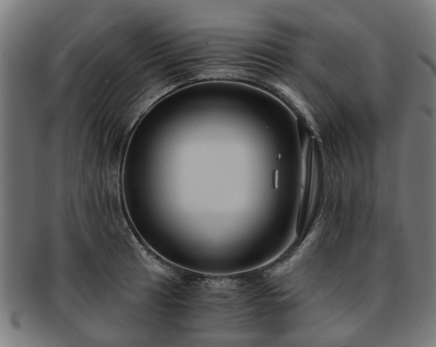X0000091881041200709121410