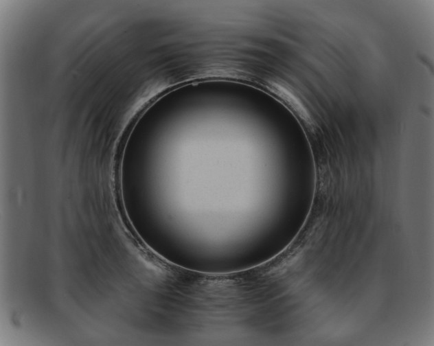 X0000091881043200709121410