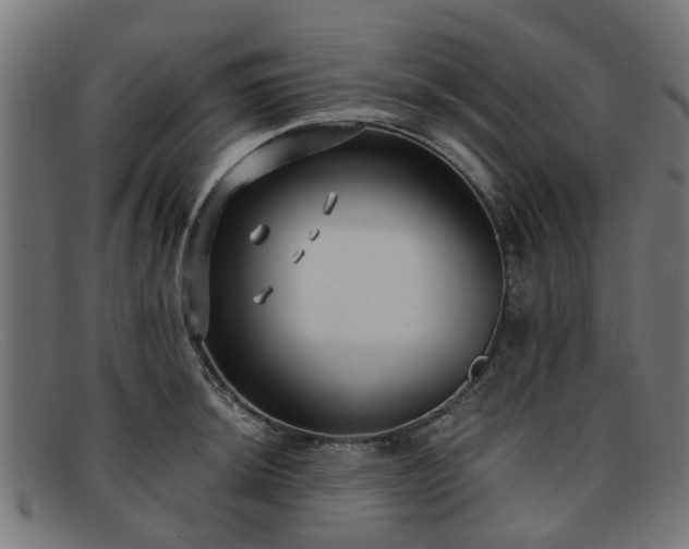 X0000091881044200709121410