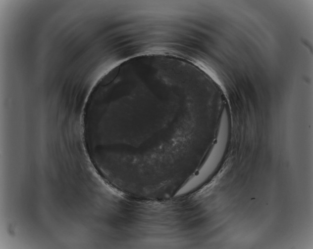 X0000091881045200709121410