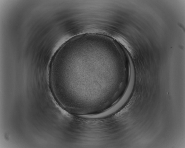 X0000091881046200709121410