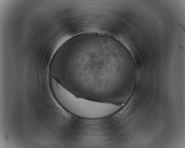 X0000091881048200709121410