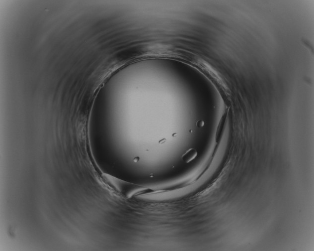 X0000091881049200709121410