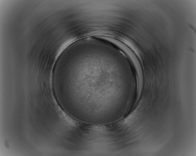 X0000091881050200709121410