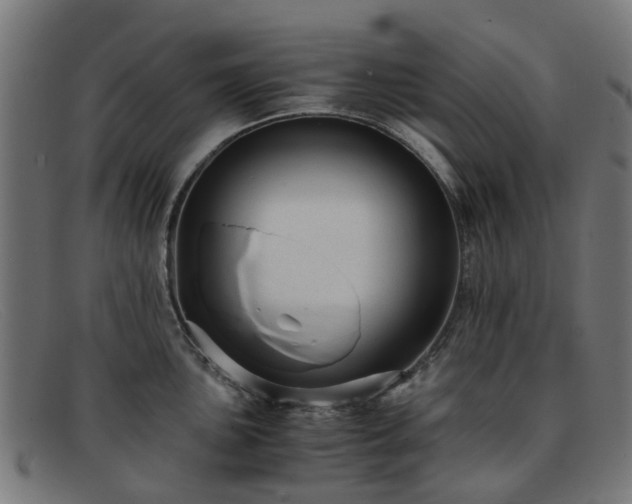 X0000091881051200709121410