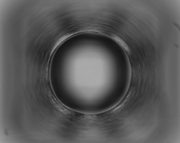 X0000091881052200709121410