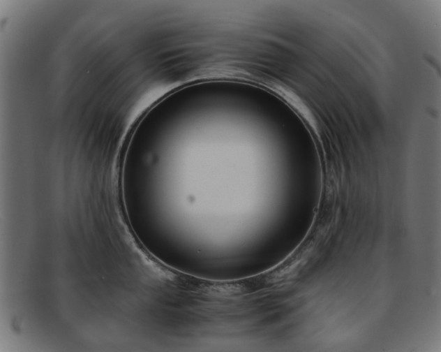 X0000091881053200709121410