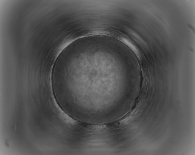 X0000091881055200709121410