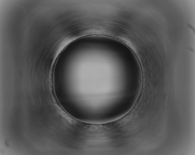 X0000091881056200709121410