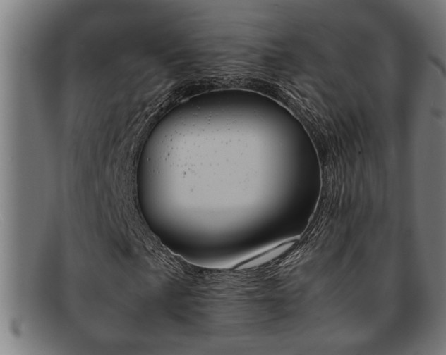 X0000091881057200709121409