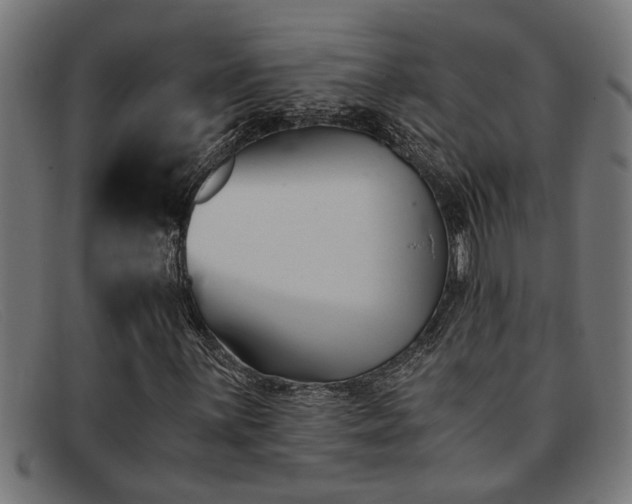 X0000091881059200709121409