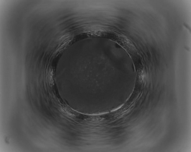X0000091881060200709121409