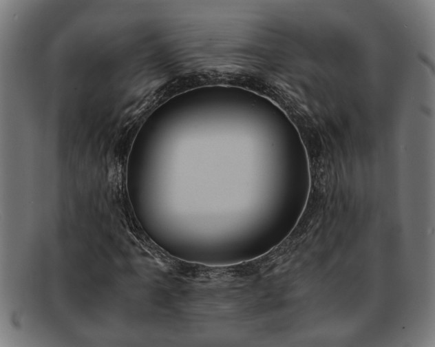 X0000091881061200709121409