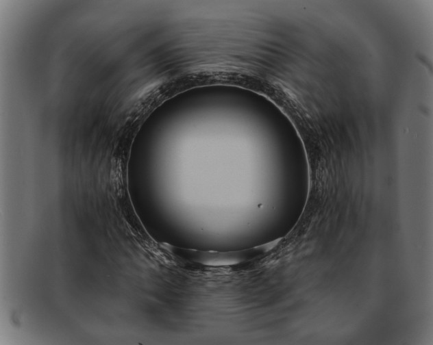 X0000091881062200709121409