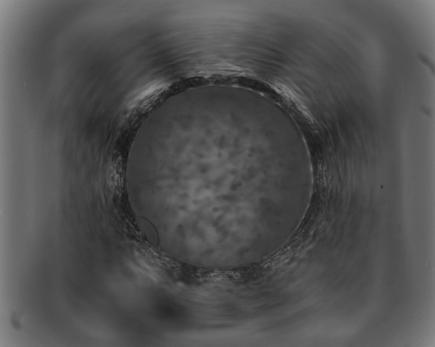 X0000091881063200709121409