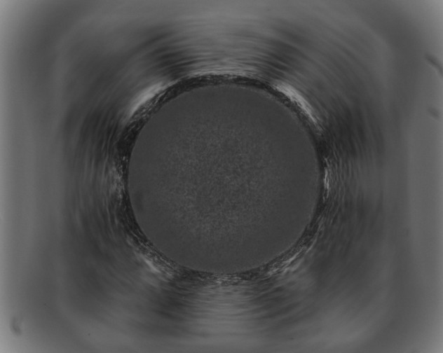 X0000091881064200709121409