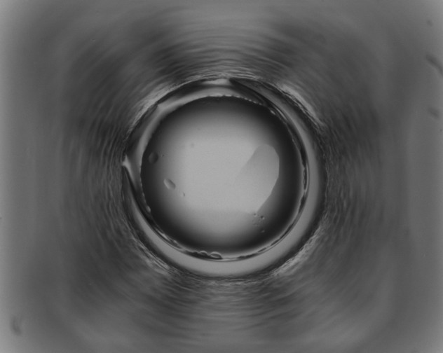 X0000091881065200709121409
