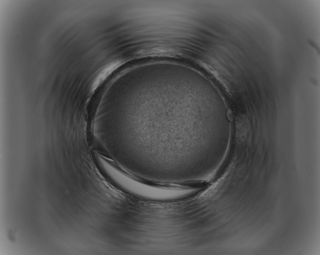 X0000091881066200709121409