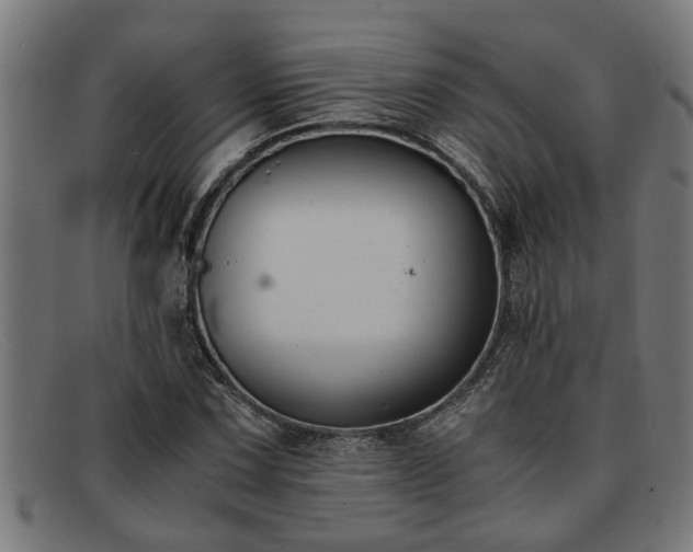 X0000091881067200709121409