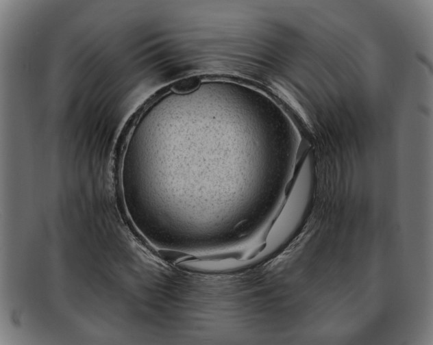 X0000091881068200709121409