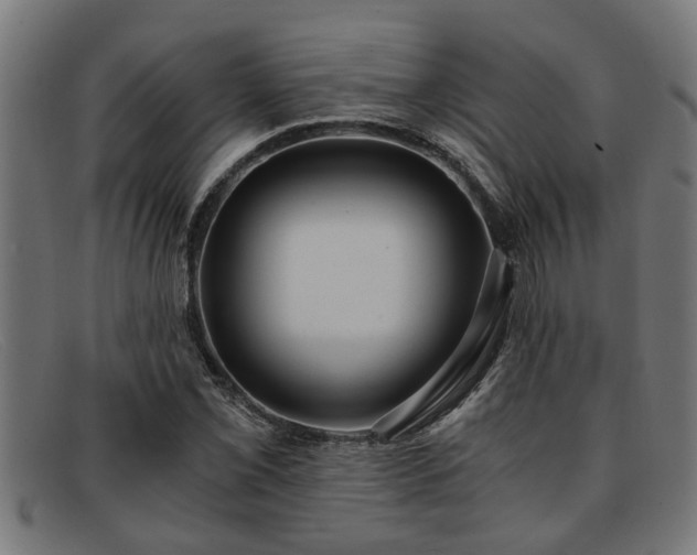 X0000091881069200709121409