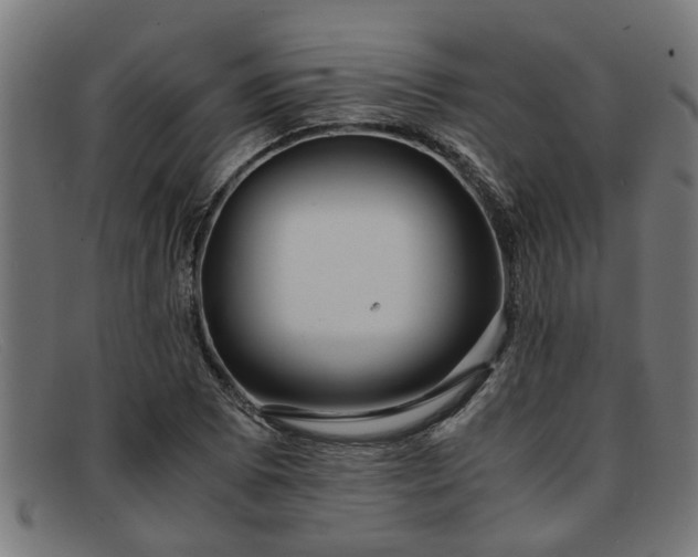 X0000091881073200709121409