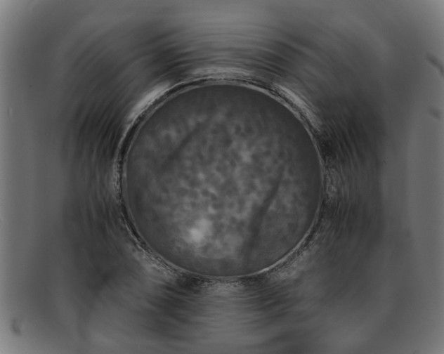 X0000091881074200709121409