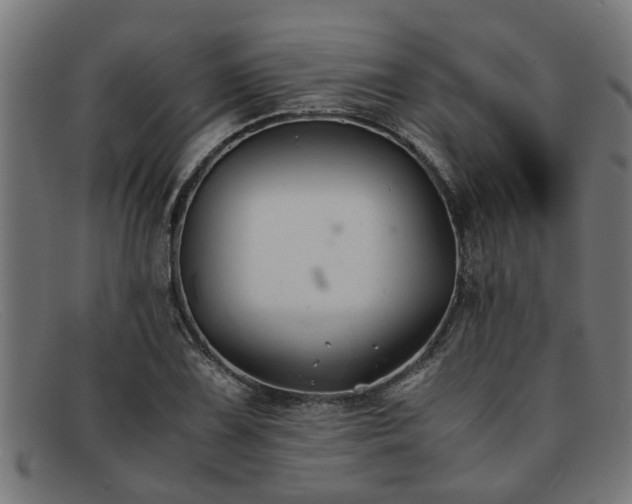 X0000091881075200709121409