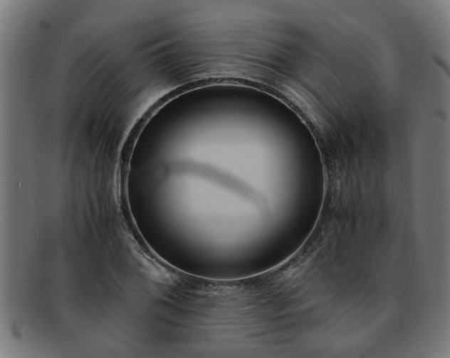 X0000091881076200709121409