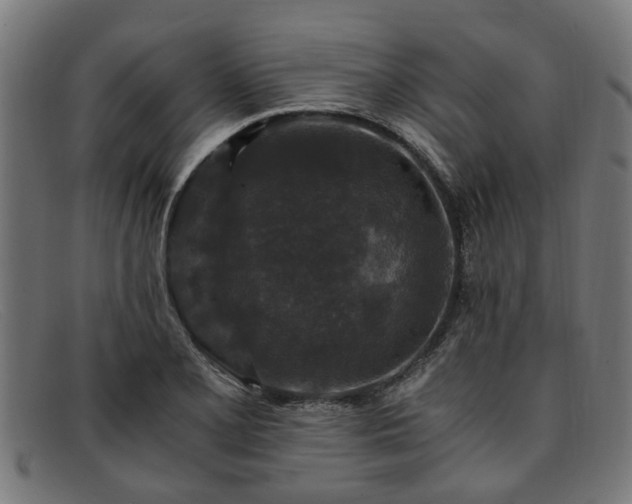 X0000091881077200709121409