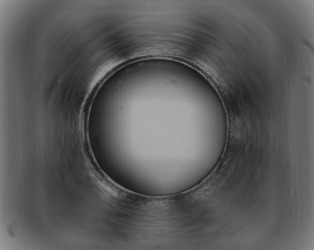 X0000091881078200709121409