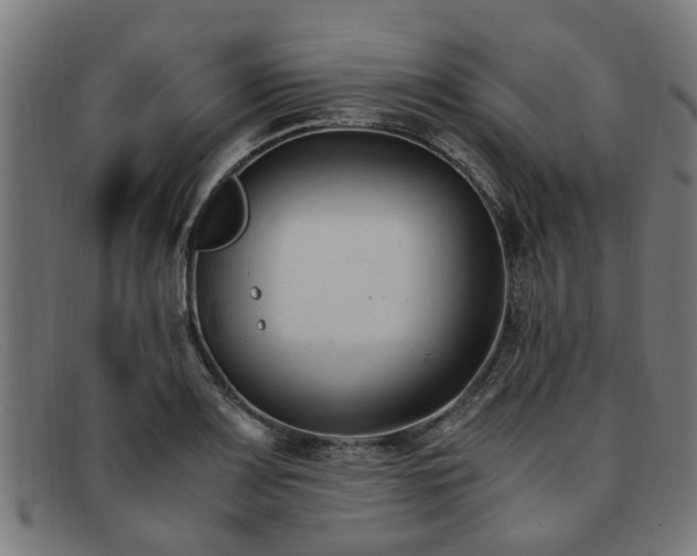 X0000091881083200709121409