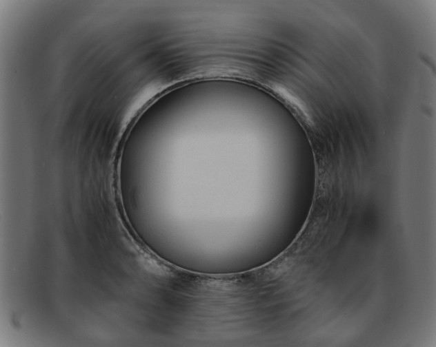 X0000091881086200709121409