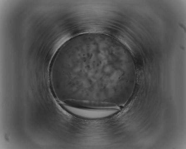 X0000091881087200709121409
