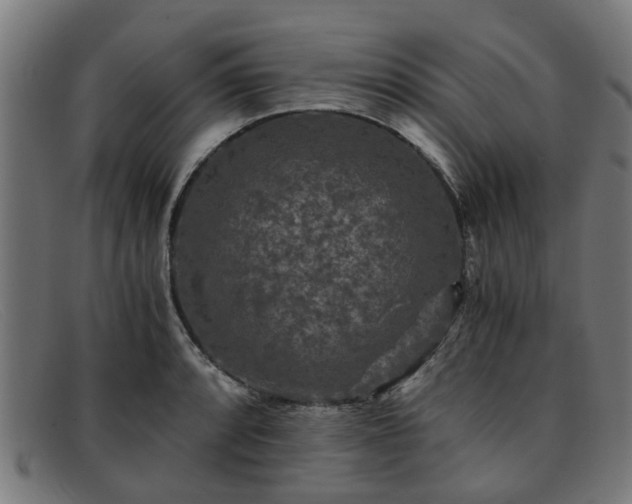 X0000091881088200709121409