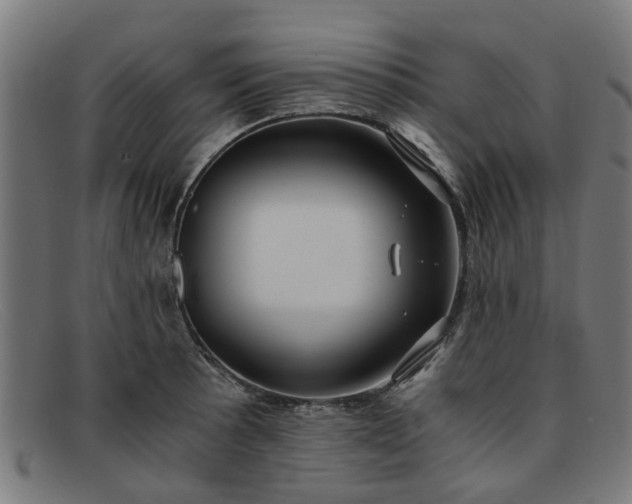 X0000091881089200709121409