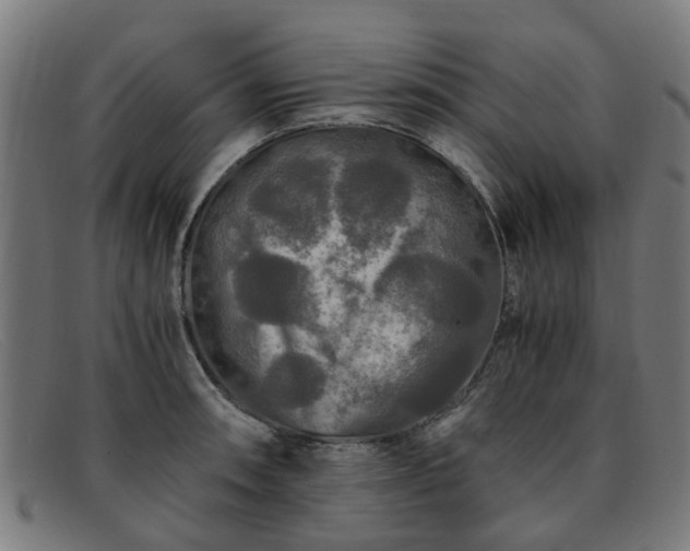 X0000091881090200709121409