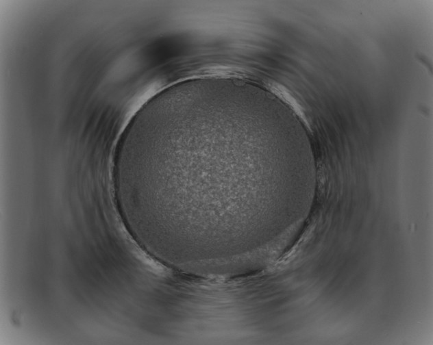 X0000091881091200709121409
