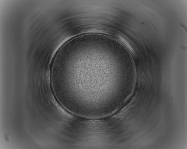 X0000091881092200709121409