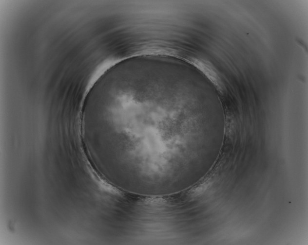 X0000091881094200709121409