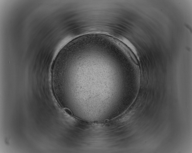 X0000091881096200709121409